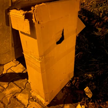 Evidea Hasarlı Ürün, Yetersiz Çözüm Ve Mağduriyet