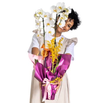 Taze Çiçek’ten Eski Orkide: Yanıltıcı Fotoğraflar Ve Hayal Kırıklığı