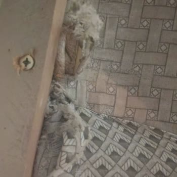 Kilim Mobilya'dan Gelen Koltuk Takımında Renk Ve Ölçü Uyumsuzluğu Şoku