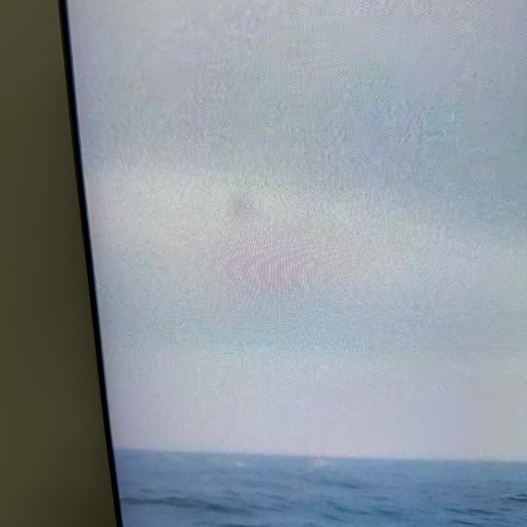 Samsung Yeni Alınan Üst Segment Televizyonda Kalıcı Panel İzleri Ve Servis Mağduriyeti