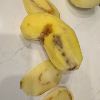 Metro Market'te Satın Aldığım Patateslerin Çürük Çıkması Ve Kalite Kontrol Eksikliği