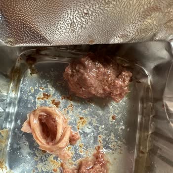 Kedi Mamasında Güven Sarsıcı Parça Ve Yetersiz Müşteri Desteği