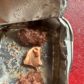 Kedi Mamasında Güven Sarsıcı Parça Ve Yetersiz Müşteri Desteği