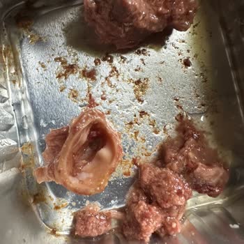 Kedi Mamasında Güven Sarsıcı Parça Ve Yetersiz Müşteri Desteği