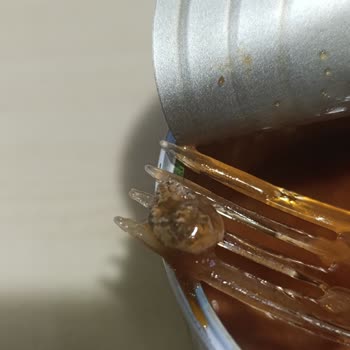 Tat Barbunya Pilaki Konservesinden Taş Çıkması Diş Sağlığımı Tehlikeye Attı