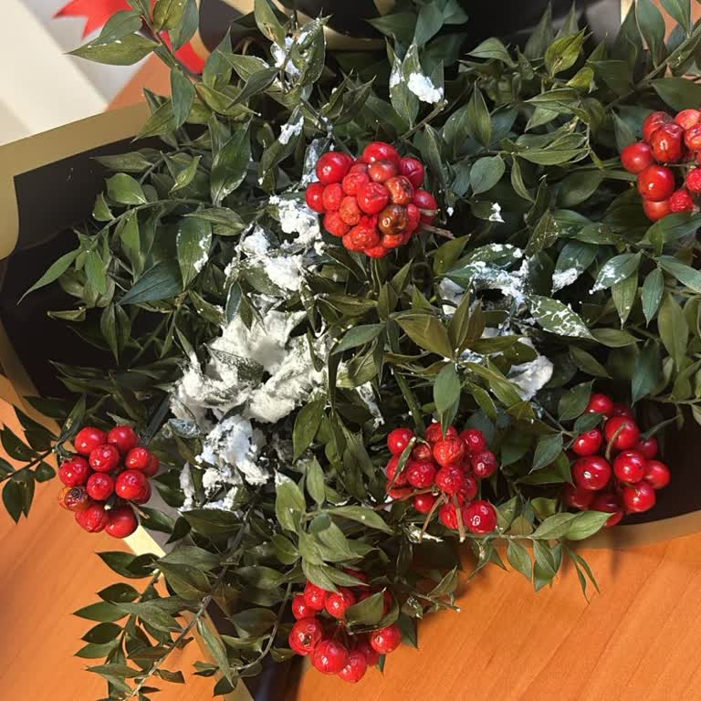 Çürük Kokina Ve İlgisiz Müşteri Hizmetleri Nedeniyle Mağduriyet