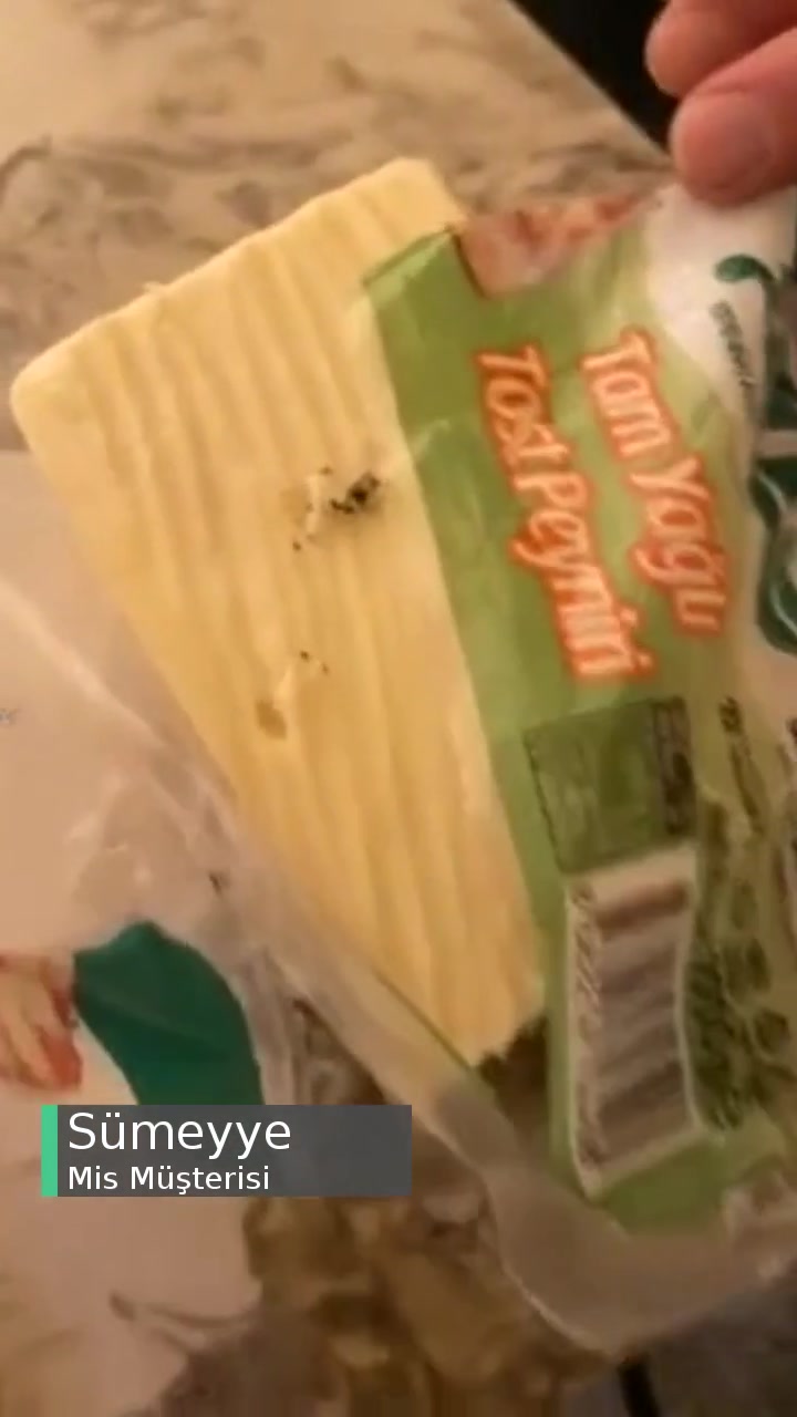Mis Tam Yağlı Tost Peynirinin Hali! videonun kapak resmi