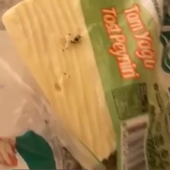Mis Tam Yağlı Tost Peynirinin Hali!