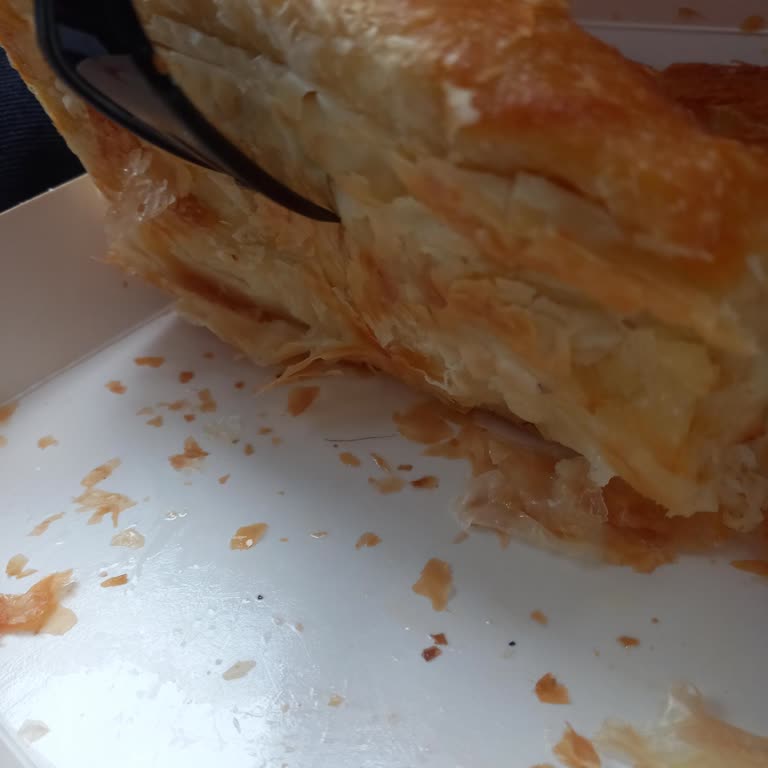 Levent Börekçilik Şubesinden Aldığım Börekte Kıl Çıkması Nedeniyle Hijyen ve İade Talebim