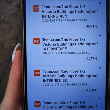 Temu Оплачен заказ в Temu, но отображается повторное списание 173 евро