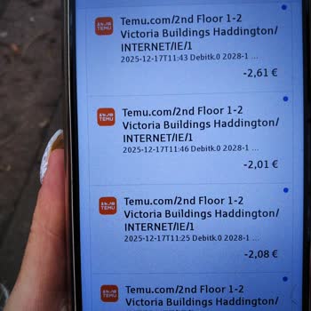 Temu Оплачен заказ в Temu, но отображается повторное списание 173 евро