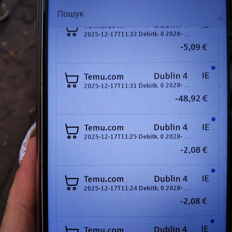 Temu Оплачен заказ в Temu, но отображается повторное списание 173 евро