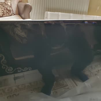 Kırık Gelen Televizyonun İadesi Kabul Edilmedi, Mağdur Edildim