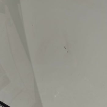 Ekspertiz Raporunda Belirtilmeyen Hasarlar Ve Yetersiz Müşteri Desteği