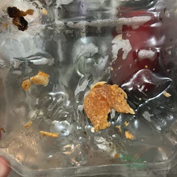 Lezita Piliç Dönerde Çiğ Tavuk Parçası: Sağlığım Tehlikeye Atıldı