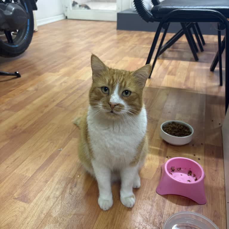 Alarm Sistemi Kedim Yüzünden Sürekli Asılsız Çalıyor İptal Ve Ücret İadesi Belirsiz