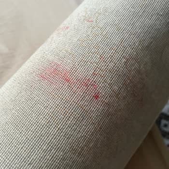 Yıkamaya Verdiğim Yeni Halılarım Mahvoldu, Mağduriyetim Giderilmiyor