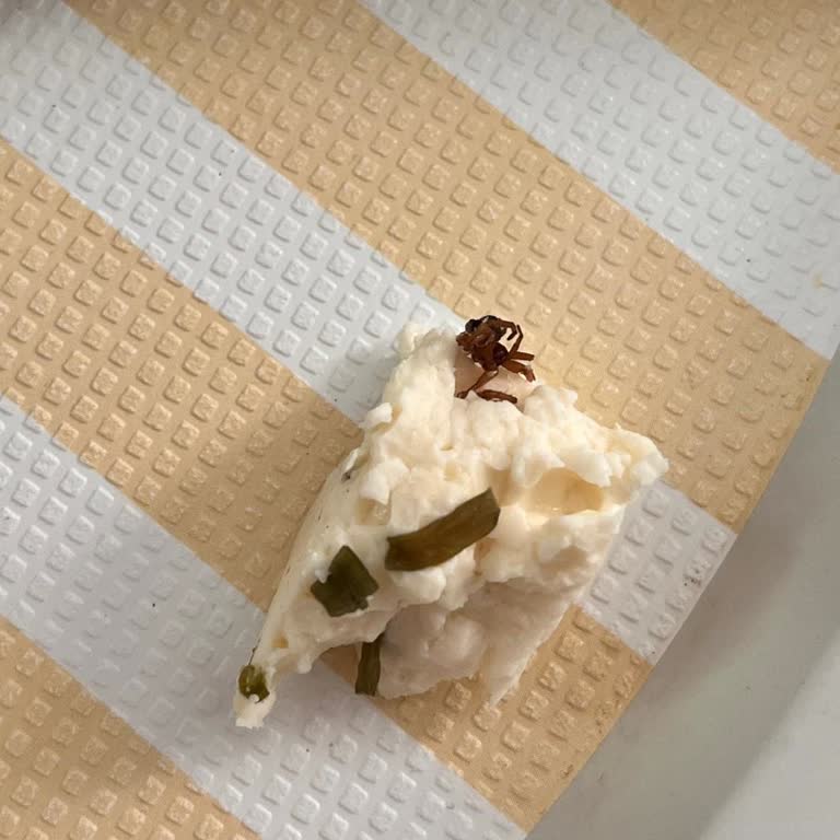 Vakumlu Peynirde Ölü Örümcek: Ürün Güvenliği Ve Hijyen Konusunda Endişe