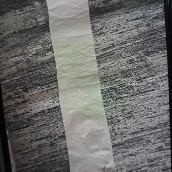 Solo Tuvalet Kağıdında Koparma Çizgisi Yok, Kullanımda Büyük Zorluk Yaşıyorum