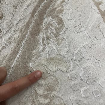 Yetersiz Temizlik Ve İlgisiz Hizmet Sonucu Halı Yıkama Ücretimin İadesini Talep Ediyorum