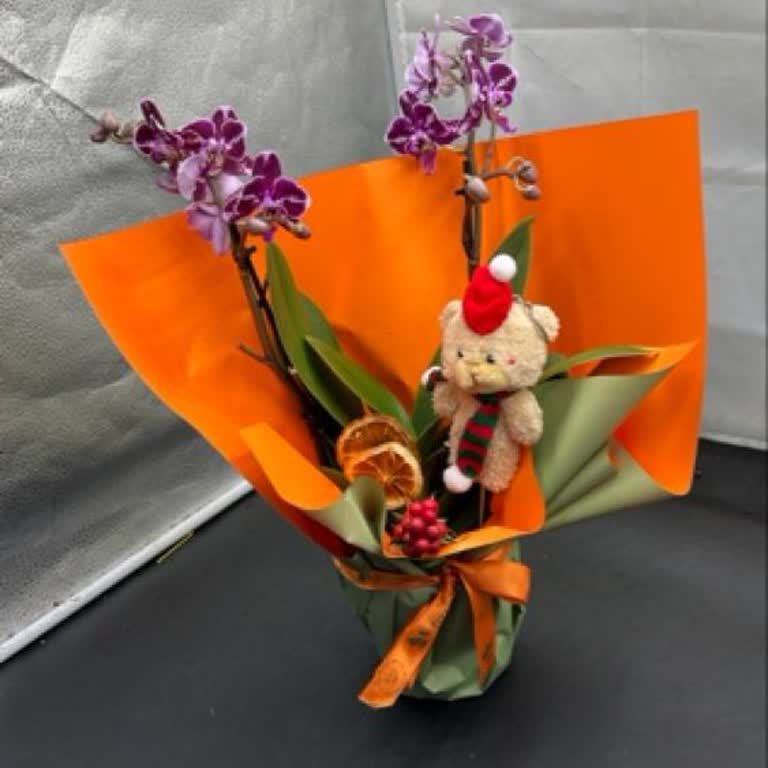 Sipariş Görseline Uygun Olmayan Ürün Ve İlgisiz Müşteri Hizmetleriyle Hayal Kırıklığı