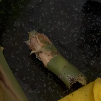 Göztepe Çarşı Kadıköy Kalitesiz Çıkan Ürünler