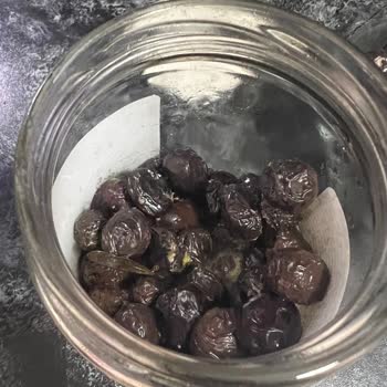 Küflü Zeytin Ve Fora Zeytin'in İlgisizliği Karşısında Hayal Kırıklığı