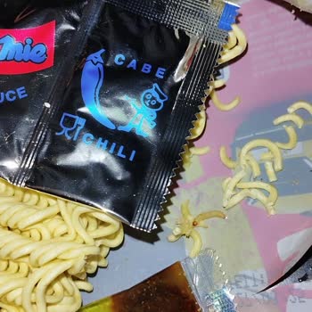 İndomie Noodle Paketinden Canlı Kurt Çıkması Güvenimi Zedeledi