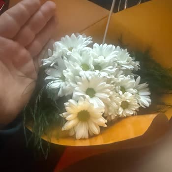 Görseldeki Ürünle Uyuşmayan Sipariş Ve Tekrarlayan Hayal Kırıklığı Nedeniyle İade Talebi