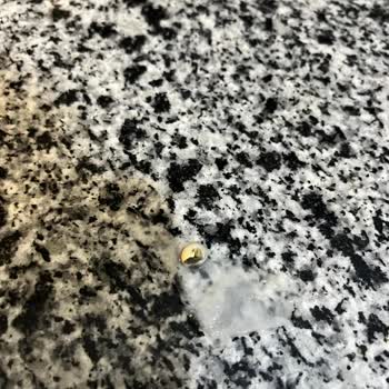 Garnitür İçinden Salyangoz Çıkması: Hijyen Ve Güvenlik Endişesi