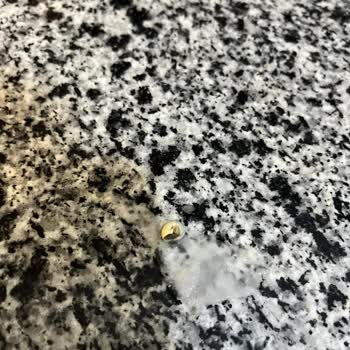 Garnitür İçinden Salyangoz Çıkması: Hijyen Ve Güvenlik Endişesi