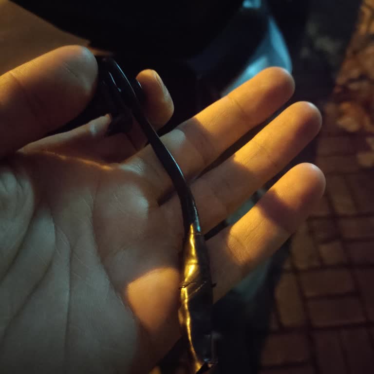 Honda Forza 250 Çanta Zorunluluğu Ve Kısa Sürede Arıza