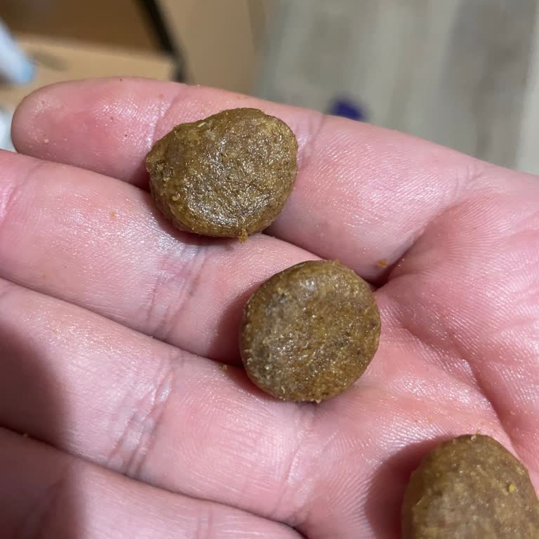 Mamaal.com Kısa Son Kullanma Tarihli Mama Ve Yetersiz Müşteri Hizmetleri Deneyimi