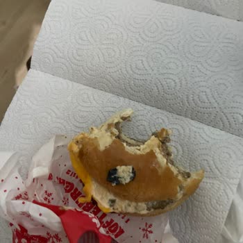 Burger King Burgerinde Sert Plastik Parçalar: Güven Ve Sağlık Riski!