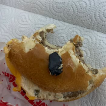 Burger King Burgerinde Sert Plastik Parçalar: Güven Ve Sağlık Riski!