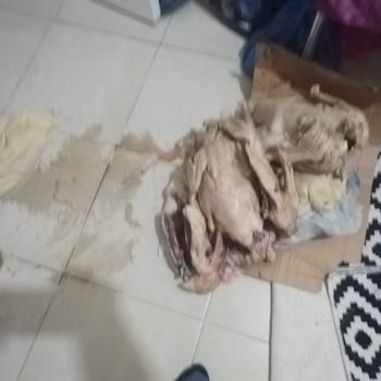 Sürat Kargo Nedeniyle 7 Gün Geciken Kargo Sonucu Bozulan Ve Zarar Oluşturan Kaz Teslimatı