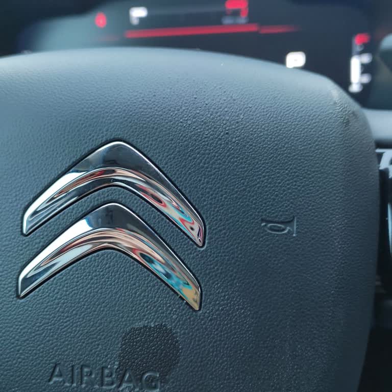 Citroen C5 Aircross'ta Garanti Kapsamı Dışında Kalan Kronik Sorunlar Yetersiz Satış Sonrası Hizmet