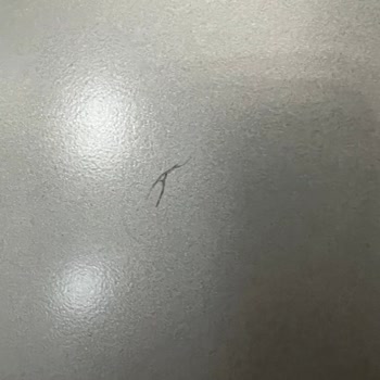 Vestel Garantili Ürünlerde Panelde Deformasyon Ve Ücretsiz Onarım Talebi
