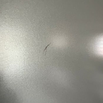 Vestel Garantili Ürünlerde Panelde Deformasyon Ve Ücretsiz Onarım Talebi
