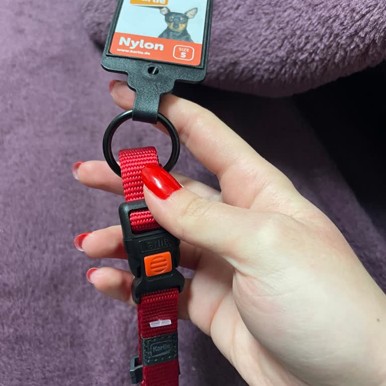 Arızalı Köpek Tasması Geç Teslim Edildi, Acil Çözüm Bekliyorum