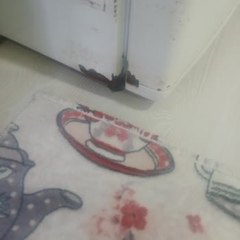 Profilo Beyaz Eşyaların Ayak Kısımlarında Toplu Çürüme Ve Paslanma Sorunu