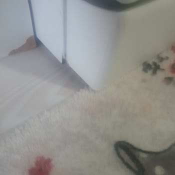 Profilo Beyaz Eşyaların Ayak Kısımlarında Toplu Çürüme Ve Paslanma Sorunu