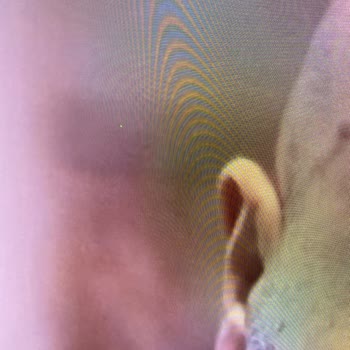 Yüksek Bedelli Ve Kaskolu Samsung TV'de Tekrarlayan LED Yanması Sorunu İçin Değişim Talebimizin Reddedilmesi