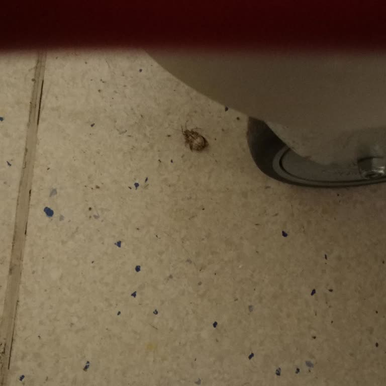 Hendek Devlet Hastanesi  Temizlik Personelinden İlgisizlik ve Mahremiyet İhlali