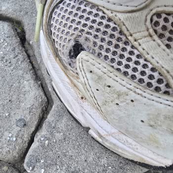 3 Ayda Yırtılan Ayakkabı Ve Hayal Kırıklığı: New Balance'dan Olumsuz İnceleme Sonucu