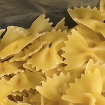 Aldığım Makarnadan Çıkan Böcekler Nedeniyle Hijyen Endişesi Yaşadım