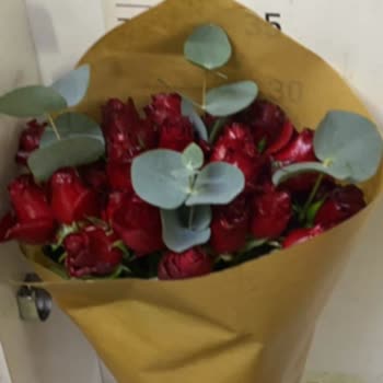 Onayladığım Çiçek Görseliyle Gönderilen Arasındaki Fark Hayal Kırıklığı Yarattı