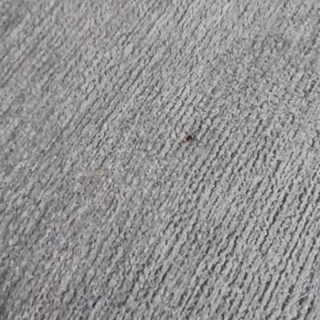 Doğtaş Beşyol'dan Aldığım Ayıplı Sandalye Ve Yetersiz Müşteri Hizmeti