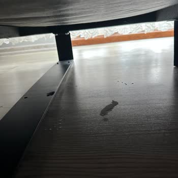 Roborock S8 Pro Süpürgede Su Akıtma Sorunu Ve Yetersiz Servis Desteği