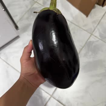 Carrefour SA Online Alışverişte Eksik Ve Bozuk Ürünler İade Sorunu